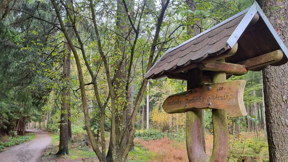 Tři Studně | Foto: Irena Šarounová, Český rozhlas Tři Studně | Foto: Irena Šarounová, Český rozhlas
