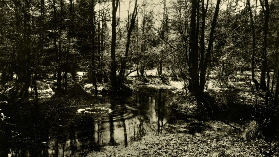 La laguna de Rusalka | Foto: Výstava 'Antonín Dvořák - Inspirace přírodou'/Národní muzeum La laguna de Rusalka | Foto: Výstava 'Antonín Dvořák - Inspirace přírodou'/Národní muzeum
