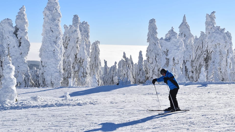 Foto: Ondřej Tomšů Foto: Ondřej Tomšů