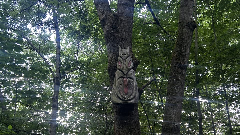 Bosque de Prachatice | Foto: Juan Pablo Bertazza,  Radio Prague International