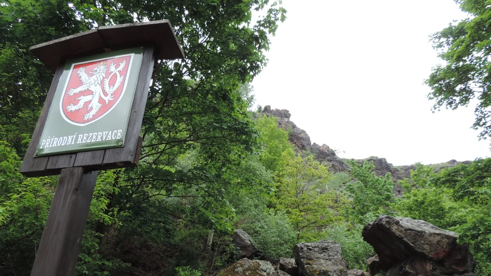 Divoká Šárka, el sitio favorito de Daniel Pinta | Foto: Juan Pablo Bertazza, Radio Prague International Divoká Šárka, el sitio favorito de Daniel Pinta | Foto: Juan Pablo Bertazza, Radio Prague International