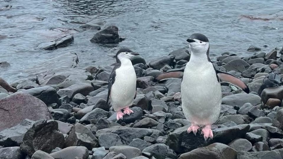 Foto: Czech National Antarctic Programme