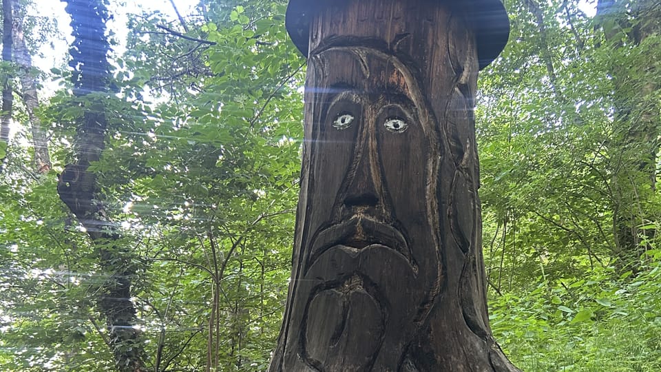 Árbol tallado en el bosque de Prachatice | Foto: Juan Pablo Bertazza,  Radio Prague International