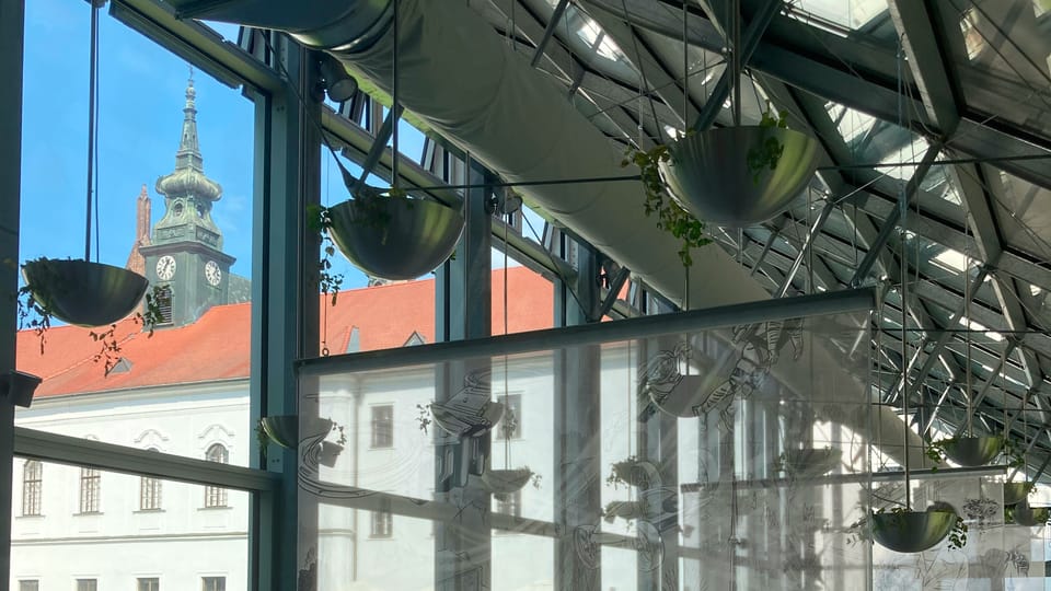 Nuevo invernadero de Mendel en el jardín del convento de los Agustinos en Brno | Foto: Martina Kutková, Radio Prague International Nuevo invernadero de Mendel en el jardín del convento de los Agustinos en Brno | Foto: Martina Kutková, Radio Prague International