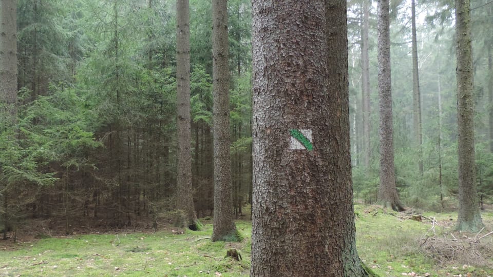 Marca verde en Říčany,  foto: Juan Pablo Bertazza