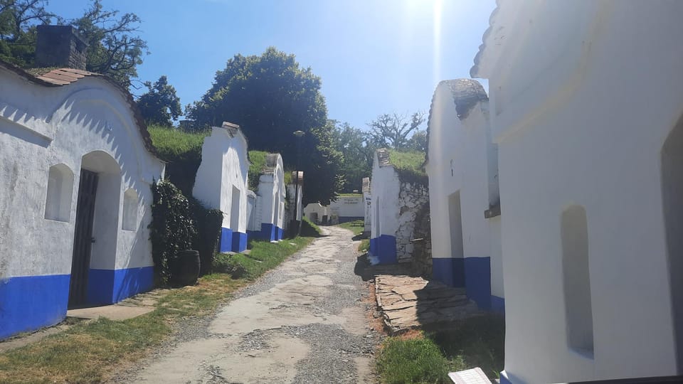 Bodegas de vino en la región de Hodonín | Foto: Michal Sladký, Český rozhlas Bodegas de vino en la región de Hodonín | Foto: Michal Sladký, Český rozhlas