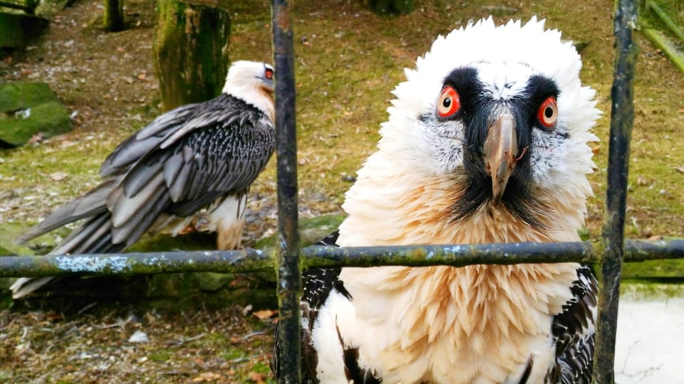 Foto: Lucie Fürstová,  Český rozhlas