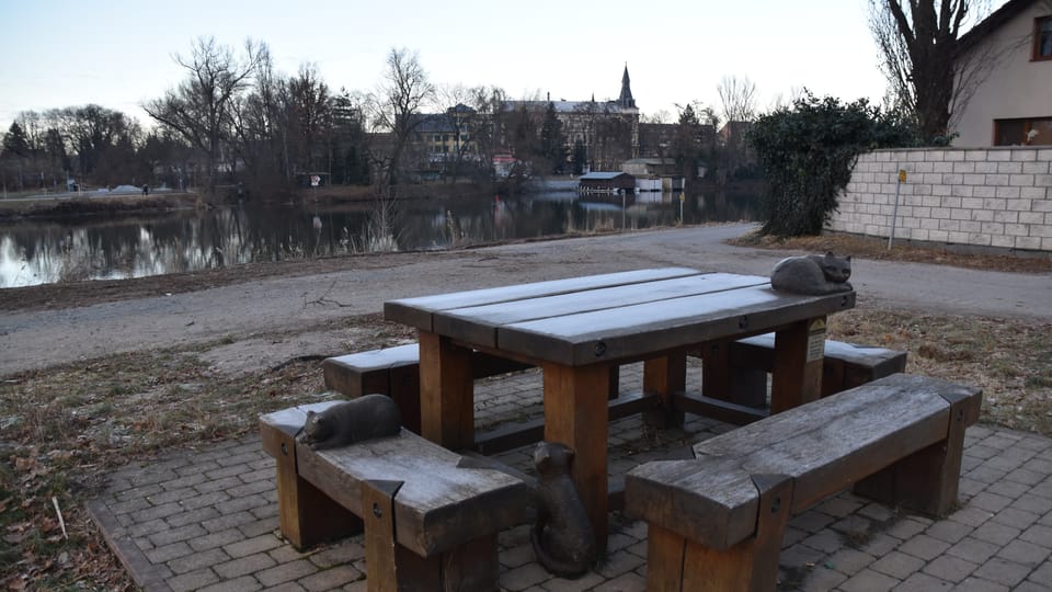 Monumento con gatos en homenaje a Hrabal en la ciudad de Nymburk | Foto: Juan Pablo Bertazza, Radio Prague International Monumento con gatos en homenaje a Hrabal en la ciudad de Nymburk | Foto: Juan Pablo Bertazza, Radio Prague International