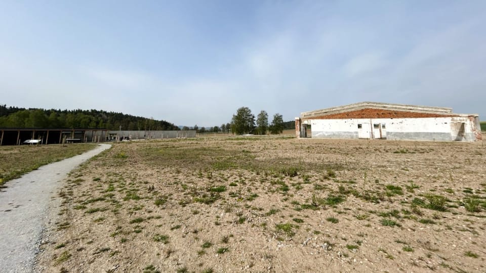 Foto: Matěj Vodička, Český rozhlas Foto: Matěj Vodička, Český rozhlas