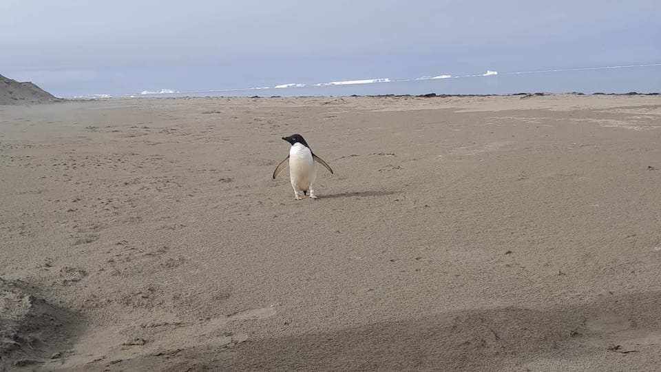 Foto: Czech National Antarctic Programme