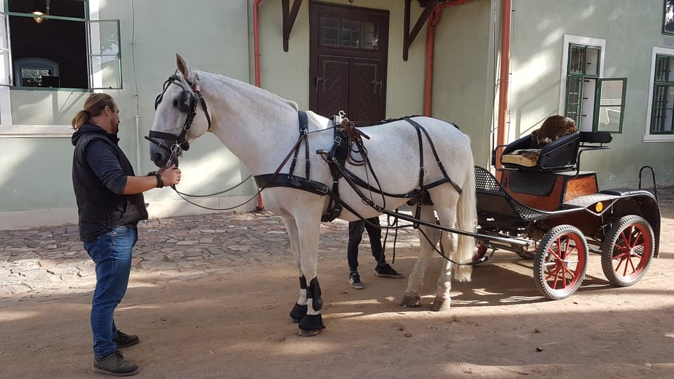 La caballeriza nacional de Kladruby nad Labem | Foto: Zdeňka Kuchyňová, Radio Prague International La caballeriza nacional de Kladruby nad Labem | Foto: Zdeňka Kuchyňová, Radio Prague International
