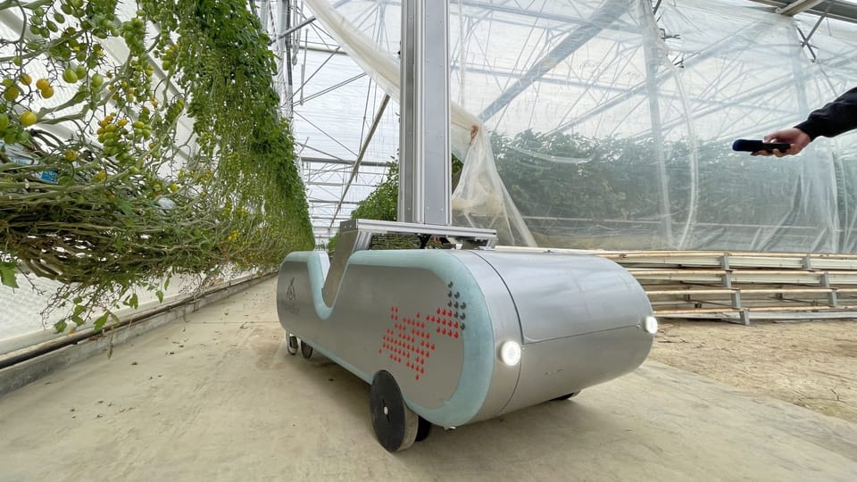 Fravebot | Foto: Martin Pařízek, Český rozhlas Fravebot | Foto: Martin Pařízek, Český rozhlas