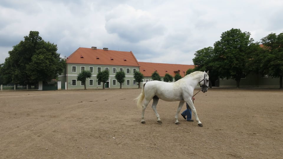 Patio de la caballeriza nacional de Kladruby nad Labem | Foto: Tereza Brázdová, Český rozhlas Patio de la caballeriza nacional de Kladruby nad Labem | Foto: Tereza Brázdová, Český rozhlas
