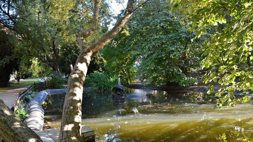 Vojanovy sady, el jardín estupendo de Praga | Foto: Jolana Nováková, Český rozhlas Vojanovy sady, el jardín estupendo de Praga | Foto: Jolana Nováková, Český rozhlas