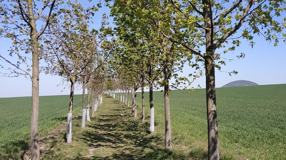 Říp, foto: Bohumil Šimčík Říp, foto: Bohumil Šimčík