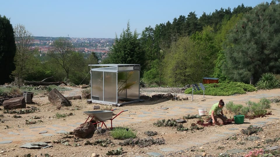 Foto: Štěpánka Budková,  Radio Prague International