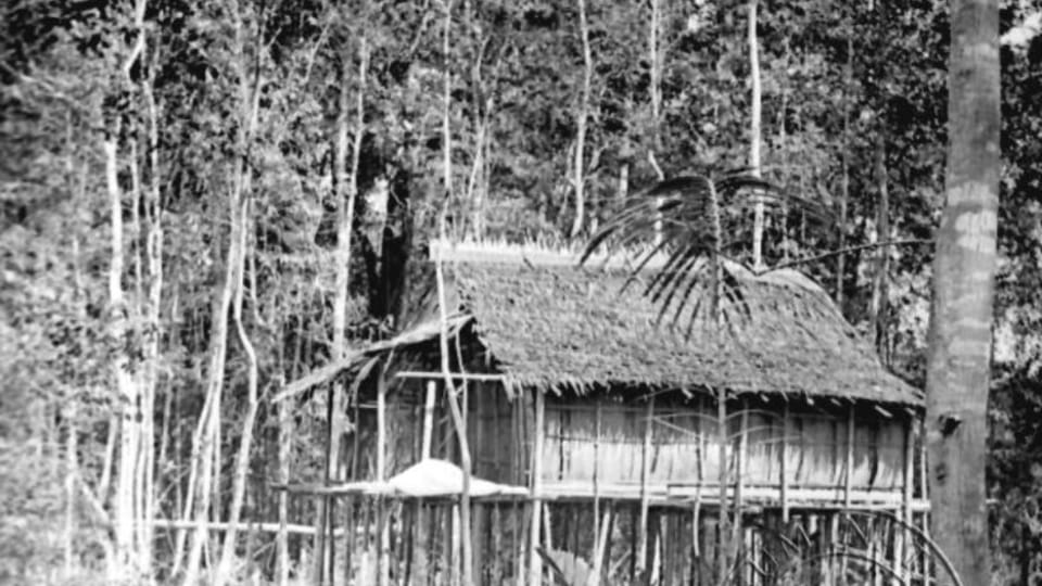 Borneo,   foto: E.S.Vráz,  de la colección del Museo Náprstek de Praga