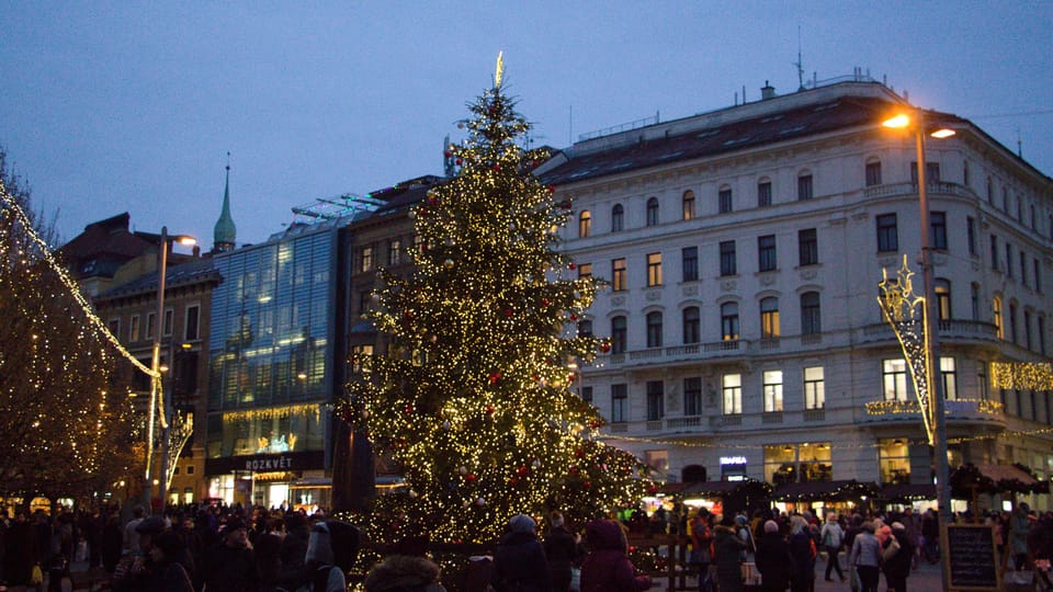 El árbol de Navidad en Brno, foto: Ludmila Opltová El árbol de Navidad en Brno, foto: Ludmila Opltová