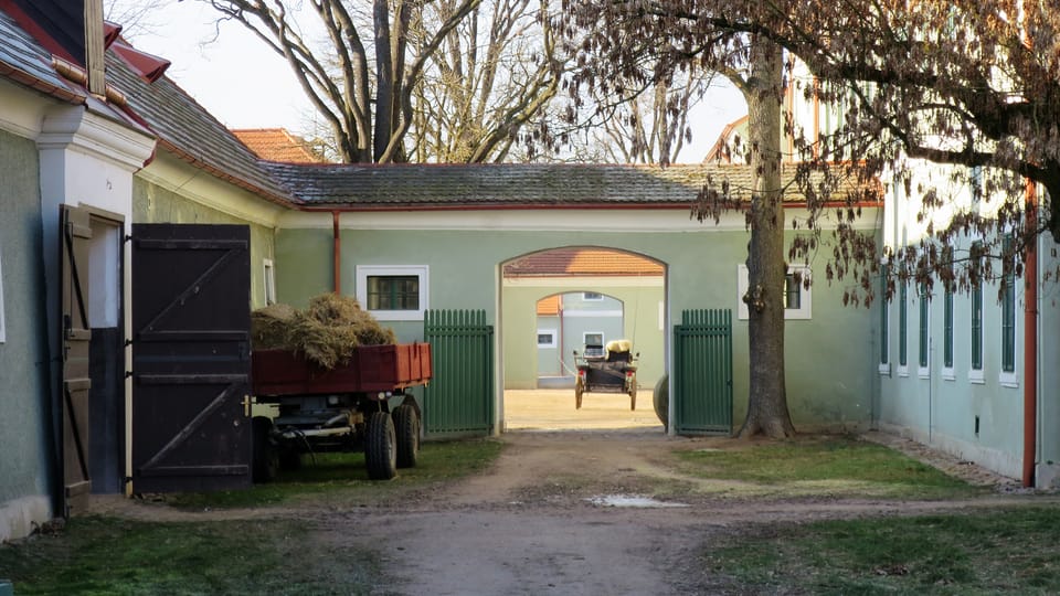 La caballeriza nacional de Kladruby nad Labem | Foto: Barbora Slezáková, Český rozhlas La caballeriza nacional de Kladruby nad Labem | Foto: Barbora Slezáková, Český rozhlas
