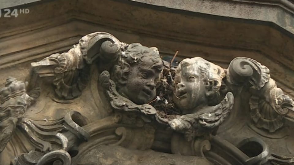 Foto: Česká televize, ČT24 Foto: Česká televize, ČT24