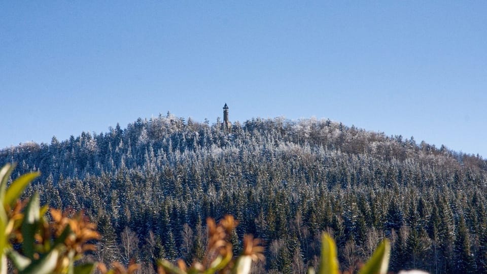 Foto: Jaroslav Hoření, Český rozhlas Foto: Jaroslav Hoření, Český rozhlas