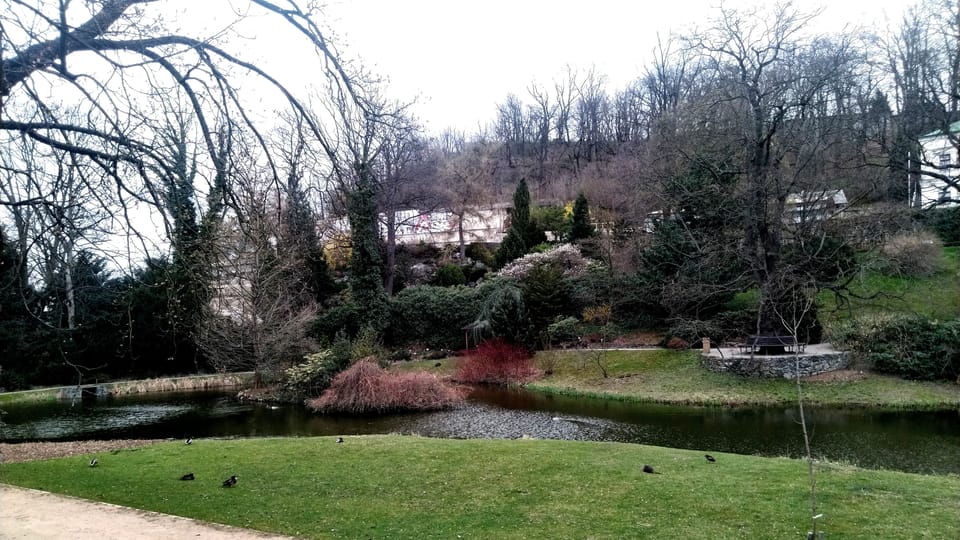 Jardín Botánico de Malešice,  foto: Dominika Bernáthová