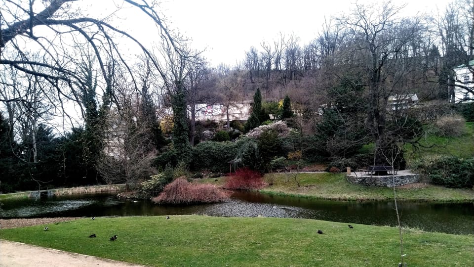 Jardín Botánico de Malešice, foto: Dominika Bernáthová Jardín Botánico de Malešice, foto: Dominika Bernáthová