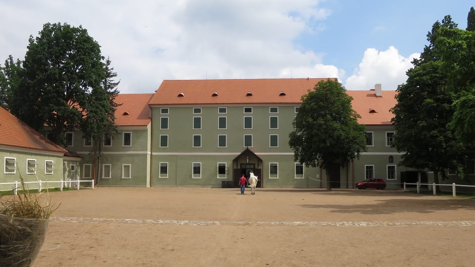 La caballeriza nacional de Kladruby nad Labem | Foto: Tereza Brázdová, Český rozhlas La caballeriza nacional de Kladruby nad Labem | Foto: Tereza Brázdová, Český rozhlas