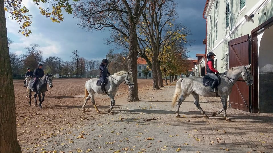 La caballeriza nacional de Kladruby nad Labem | Foto: Tereza Brázdová, Český rozhlas La caballeriza nacional de Kladruby nad Labem | Foto: Tereza Brázdová, Český rozhlas