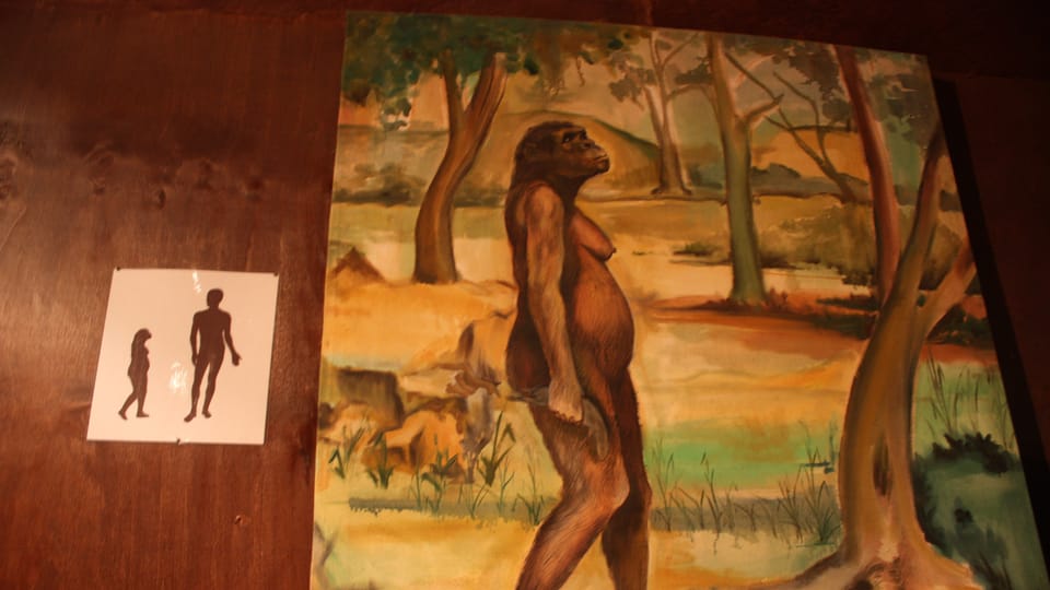 Exposición de Lucy en el Museo Nacional de Addis Abeba | Foto: Štěpánka Budková, Radio Prague International Exposición de Lucy en el Museo Nacional de Addis Abeba | Foto: Štěpánka Budková, Radio Prague International