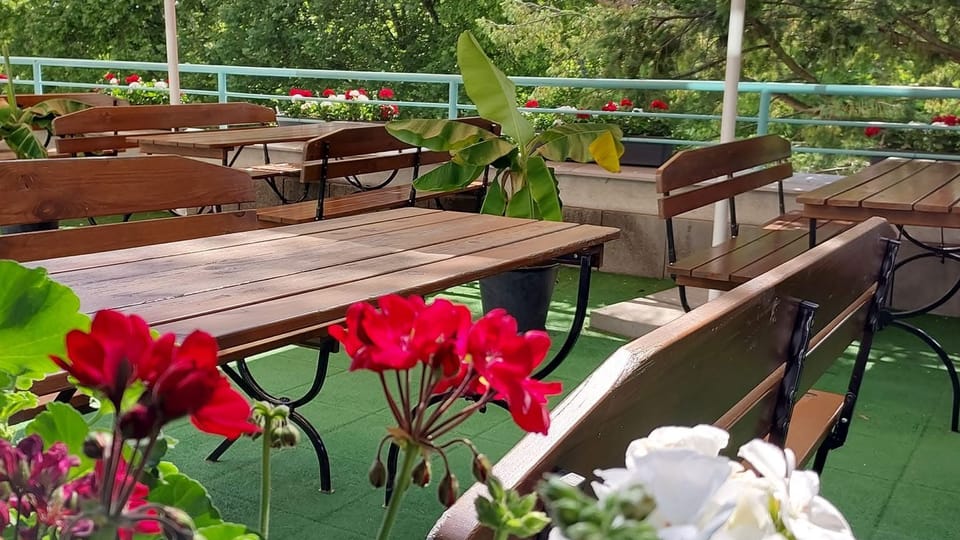 Restaurant La Terraza de Hradec Králové | Foto: archivo restaurant La Terraza Restaurant La Terraza de Hradec Králové | Foto: archivo restaurant La Terraza