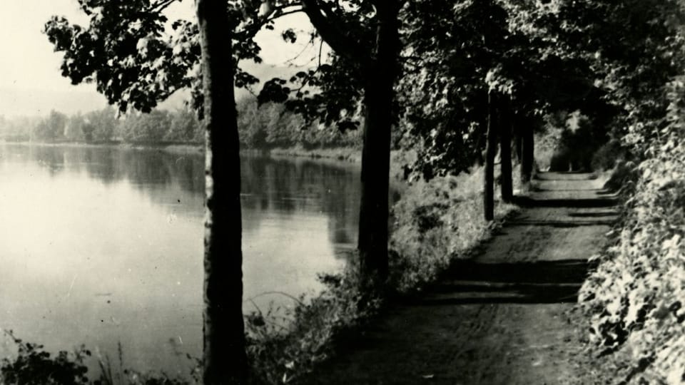 Sendero de Dvořák | Foto: Výstava 'Antonín Dvořák - Inspirace přírodou'/Národní muzeum Sendero de Dvořák | Foto: Výstava 'Antonín Dvořák - Inspirace přírodou'/Národní muzeum