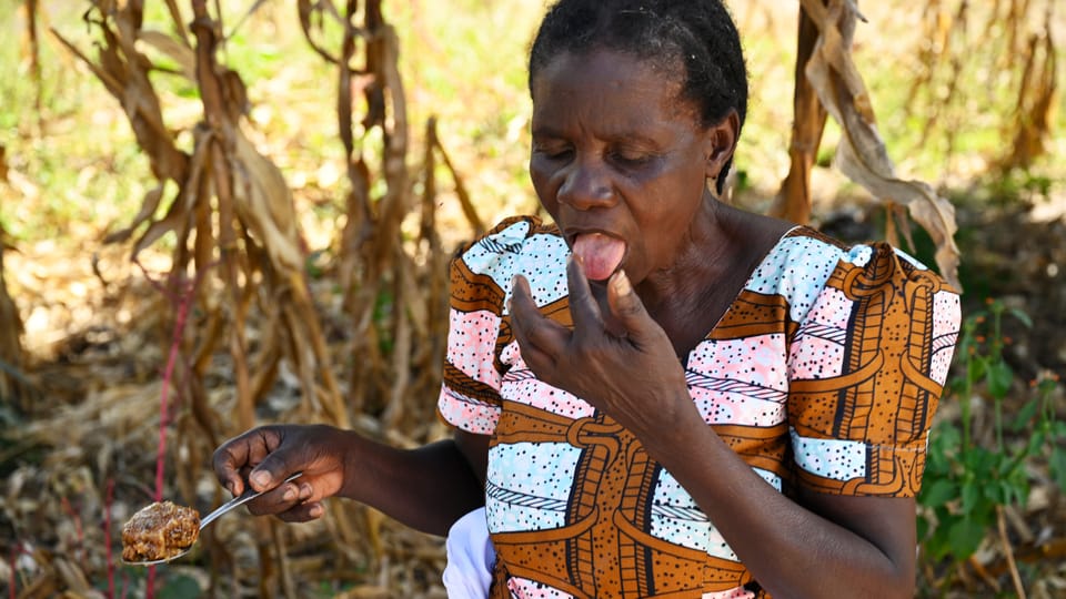 Foto: Cáritas República Checa Foto: Cáritas República Checa