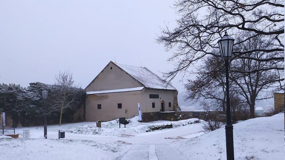 “La Estrella de la pintora e ilustradora Alena Ladová” | Foto: Magdalena Hrozínková, Radio Prague International “La Estrella de la pintora e ilustradora Alena Ladová” | Foto: Magdalena Hrozínková, Radio Prague International