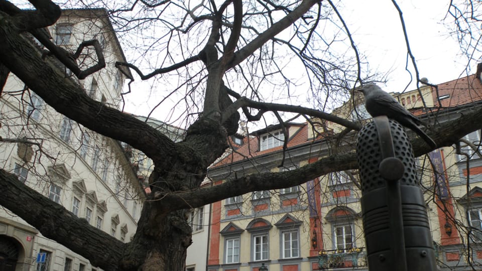 Monumento a Milada Horáková, foto: Tereza Kalkusová Monumento a Milada Horáková, foto: Tereza Kalkusová