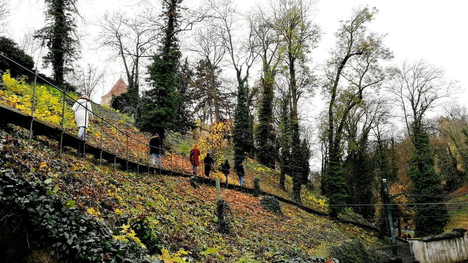 Foto: Štěpánka Budková