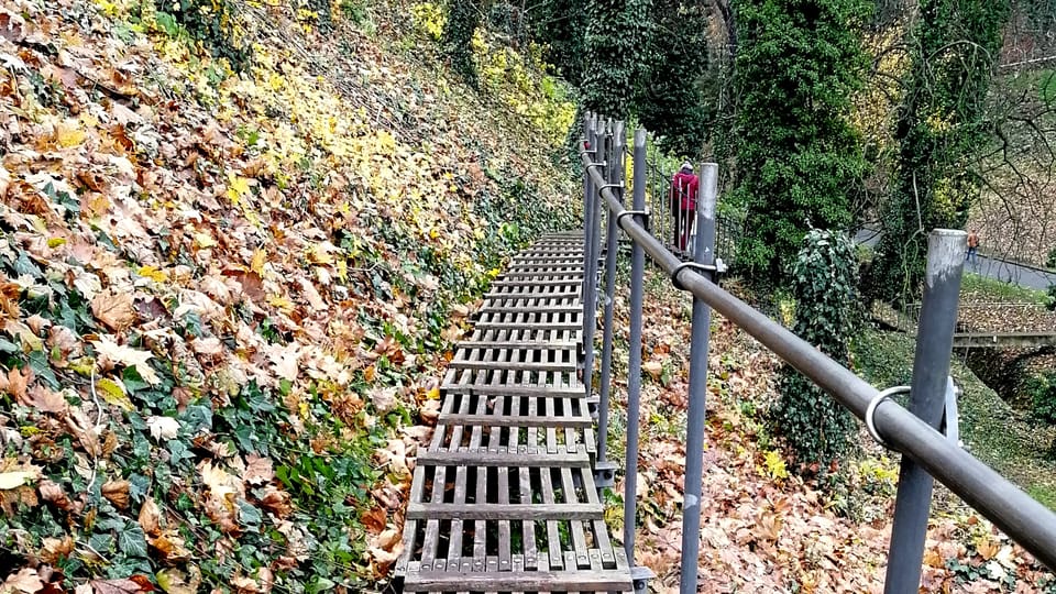 Foto: Štěpánka Budková