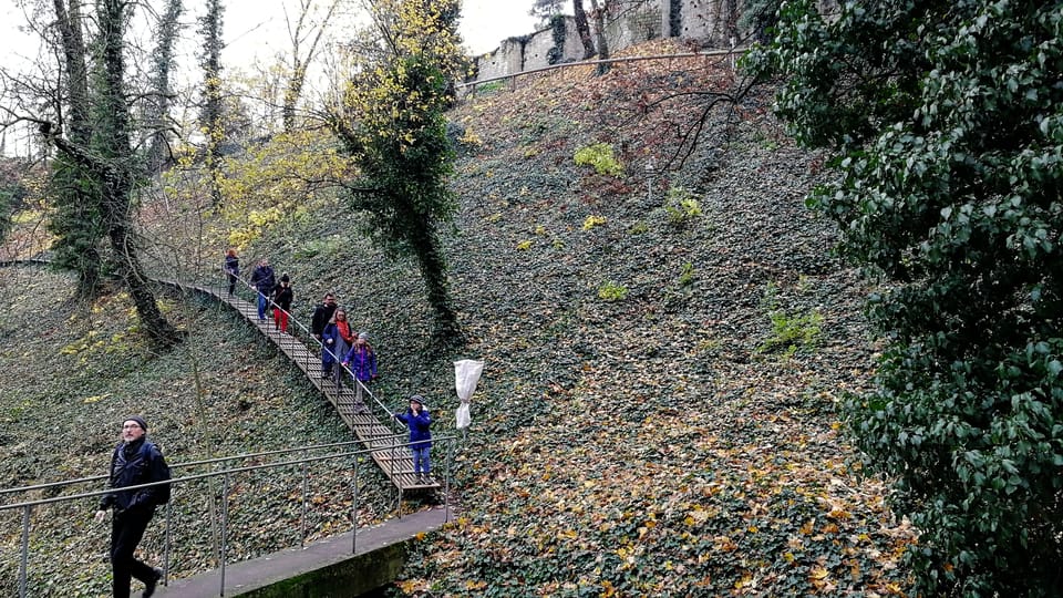 Foto: Štěpánka Budková