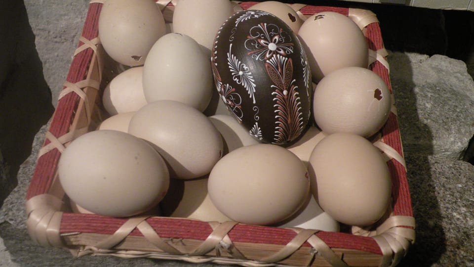 Los huevos de Pascua de Olga Pětníková, foto: Dominika Bernáthová Los huevos de Pascua de Olga Pětníková, foto: Dominika Bernáthová