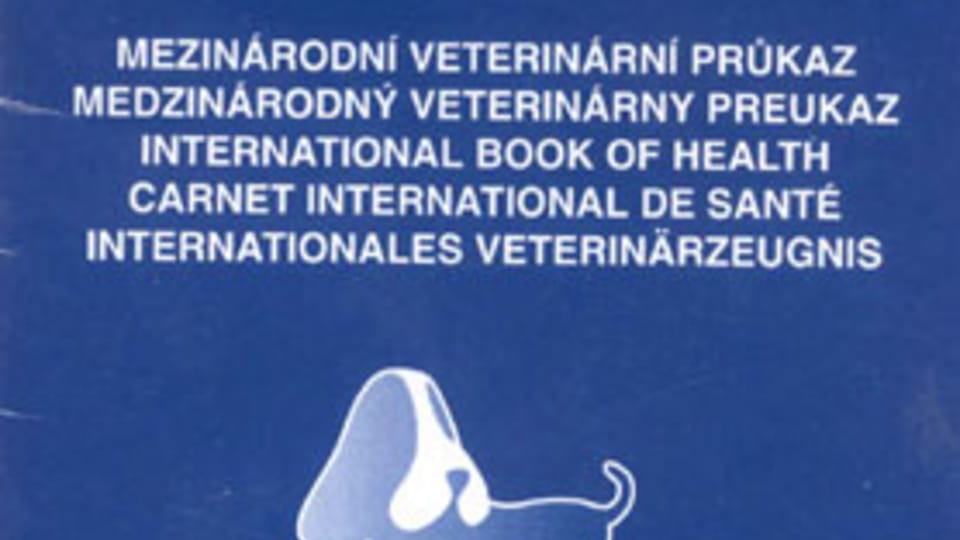 Carnet internacional de vacunación Carnet internacional de vacunación