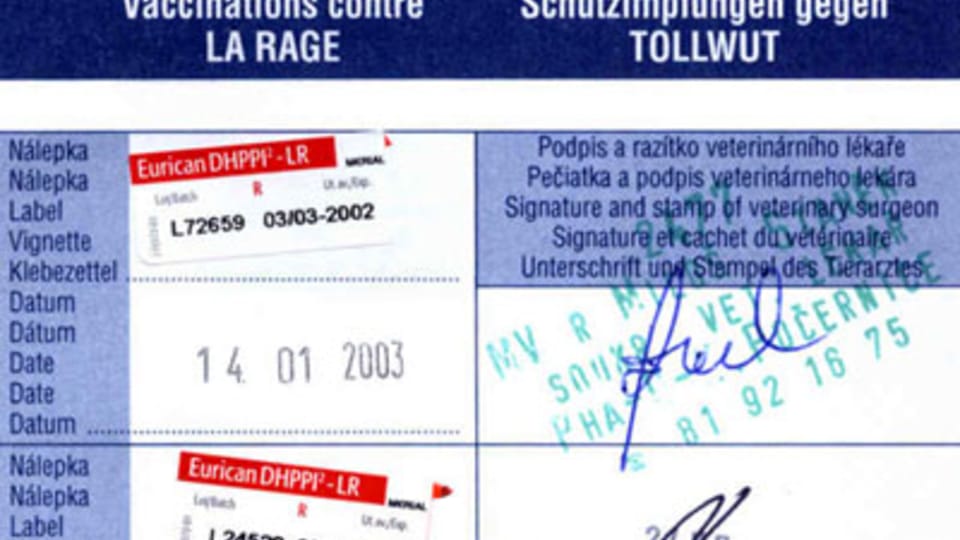 Carnet internacional de vacunación Carnet internacional de vacunación