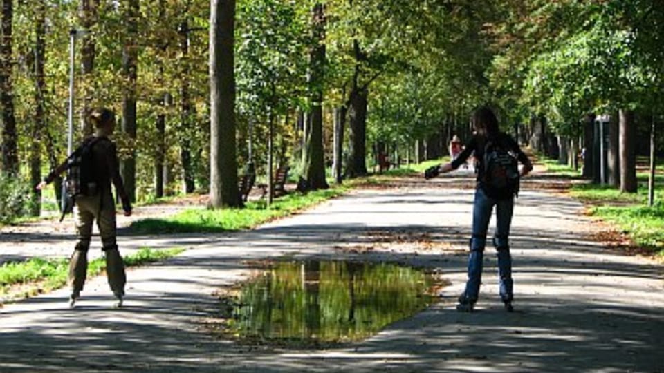 Stromovka, foto: Štěpánka Budková Stromovka, foto: Štěpánka Budková