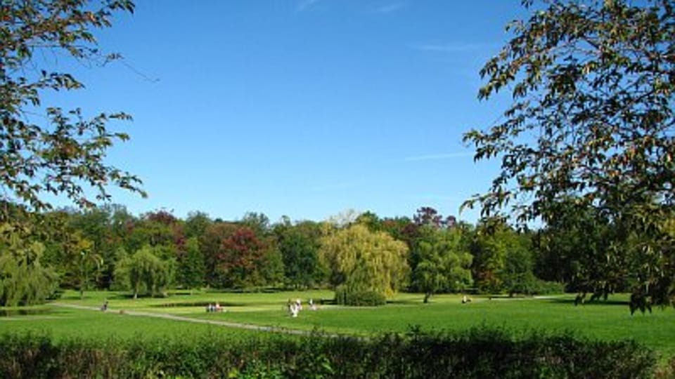 Stromovka,  foto: Štěpánka Budková