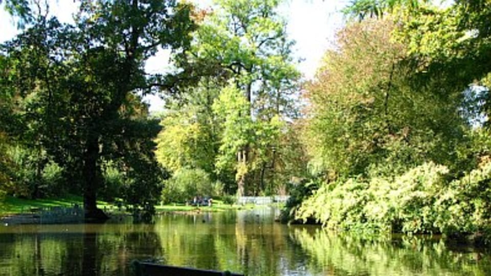 Stromovka, foto: Štěpánka Budková Stromovka, foto: Štěpánka Budková