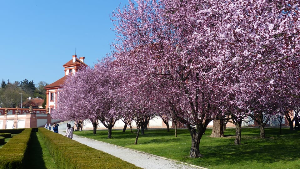 Palacio de Troja, foto: Klára Stejskalová Palacio de Troja, foto: Klára Stejskalová