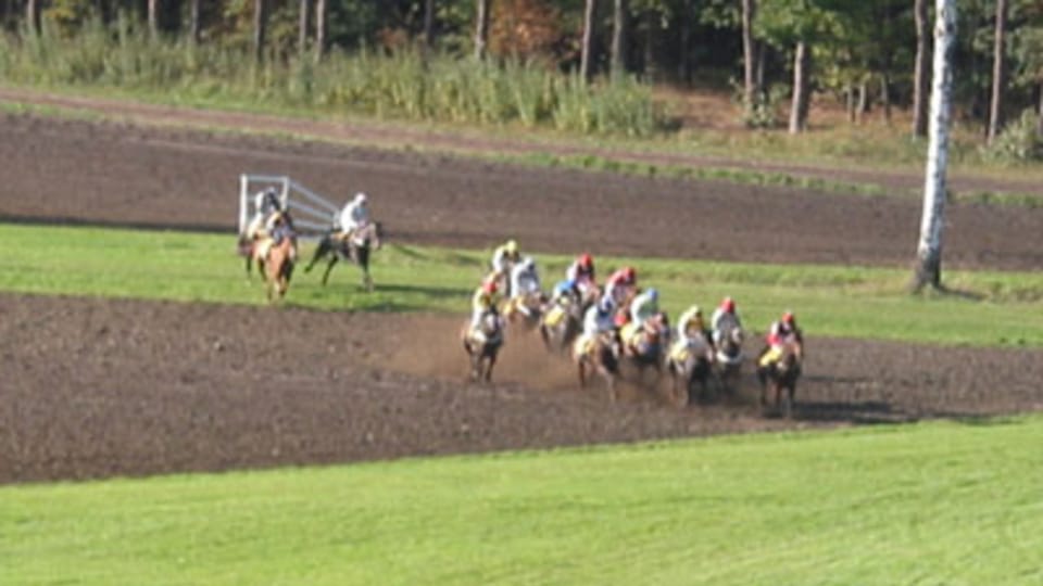 Gran Steeplechase cross-country de Pardubice, foto: autora Gran Steeplechase cross-country de Pardubice, foto: autora