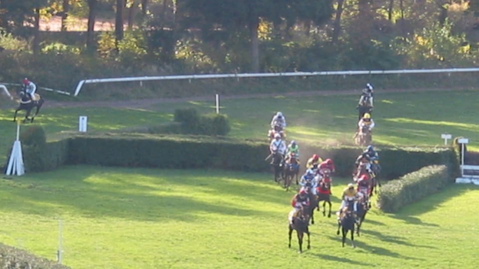 Gran Steeplechase cross-country de Pardubice, foto: autora Gran Steeplechase cross-country de Pardubice, foto: autora
