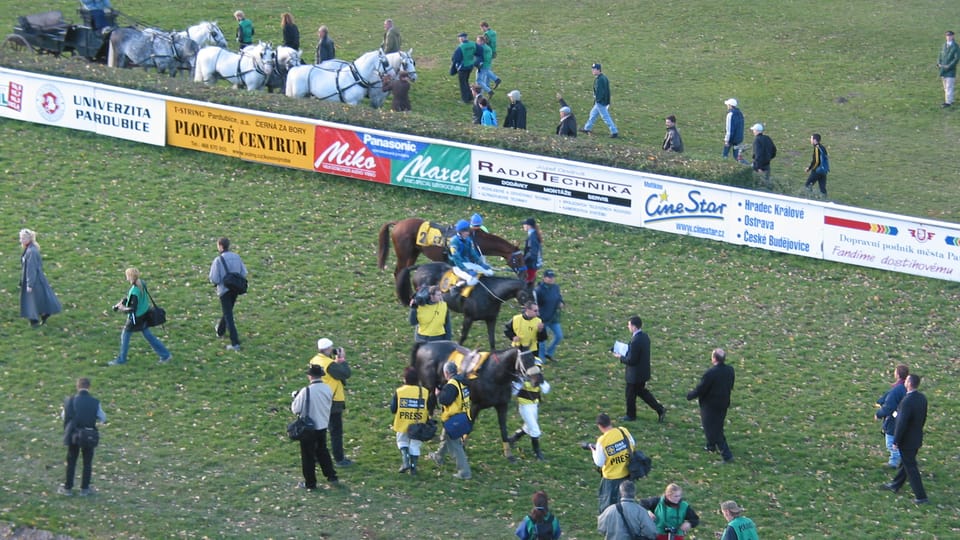 Gran Steeplechase cross-country de Pardubice,  fin de la carrera,  foto: autora