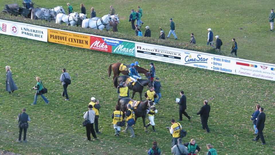 Gran Steeplechase cross-country de Pardubice, fin de la carrera, foto: autora Gran Steeplechase cross-country de Pardubice, fin de la carrera, foto: autora
