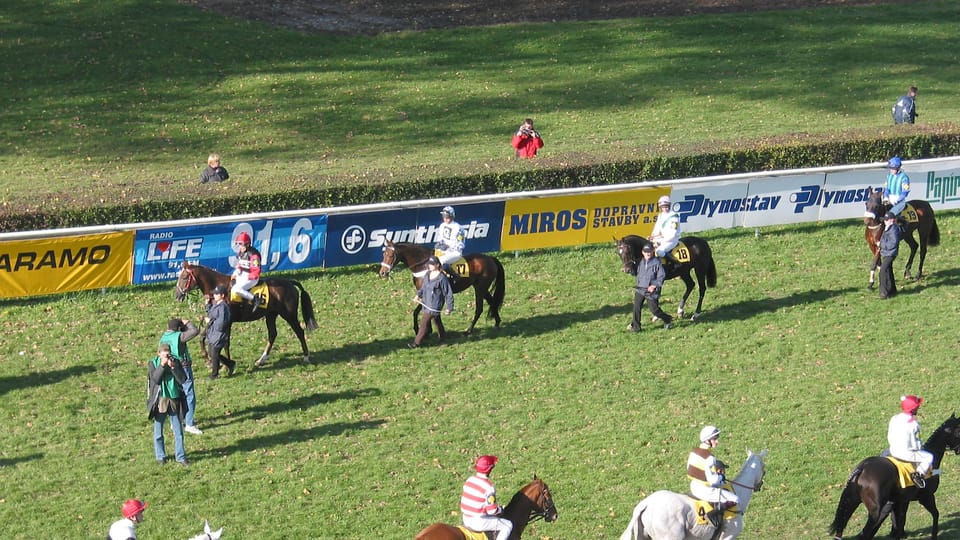 Gran Steeplechase cross-country de Pardubice,  foto: autora